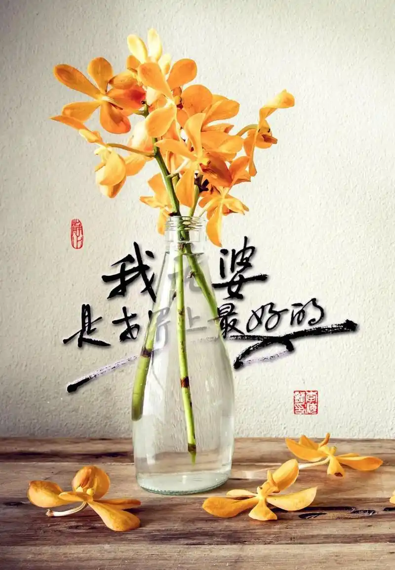 书法屏保/壁纸:我老婆是世界上最好的人