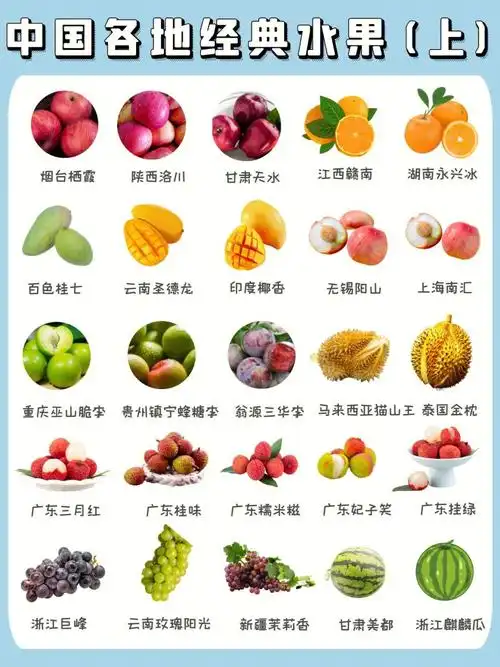 生活常识水果品种图鉴吃货必收藏上