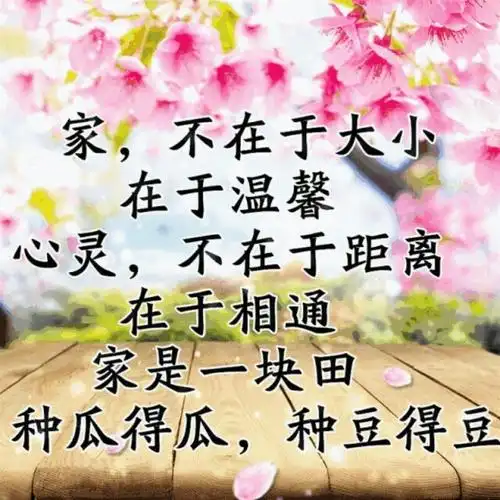 甘心情愿跟你走(原版)