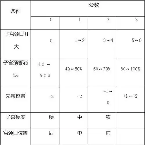 缩宫素使用规范