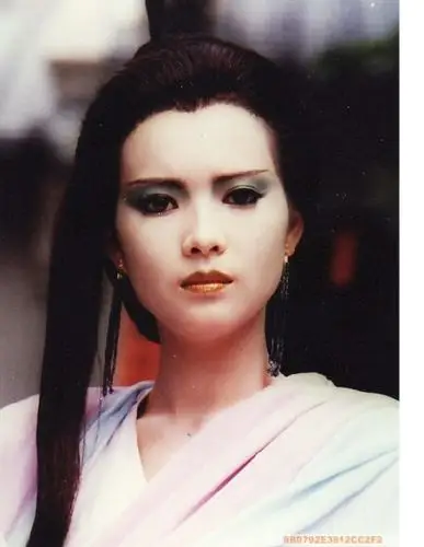 曾经靓绝五台山的蓝洁瑛.