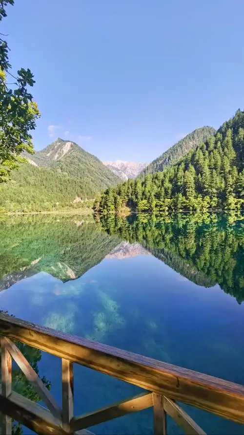 风已经是秋天的味道…#旅行#九寨沟 #治愈系风景 #行走山水 - 抖音