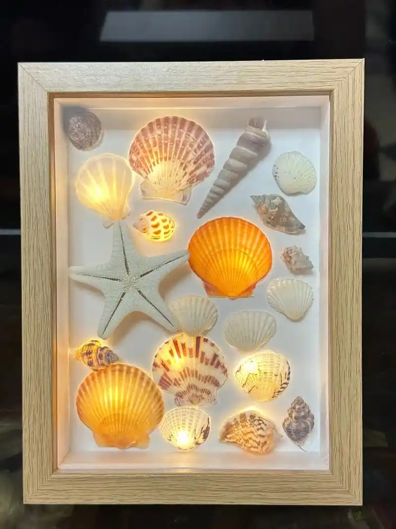 自行收集的贝壳 自主工艺品 接受定制 #手工 #贝壳 # - 抖音