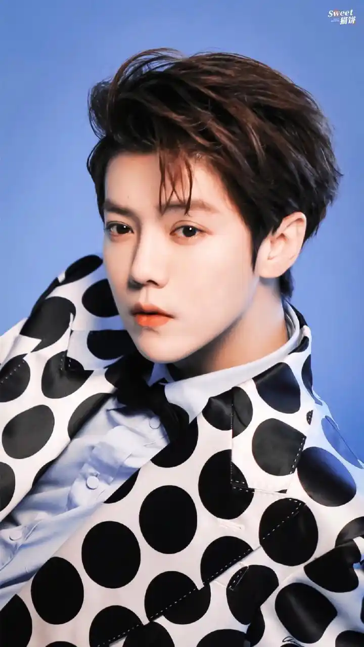 鹿晗# #娱乐最前沿# #春晚#  鹿晗金发黑西装造型虎年,最后一天快来