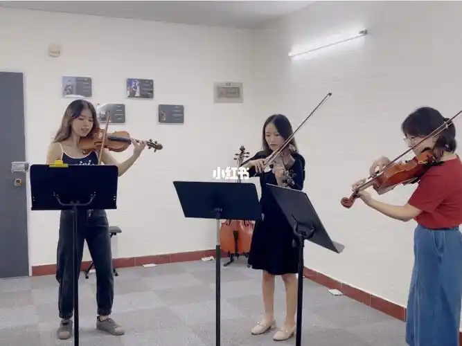 小提琴三重奏_小提琴_音乐_多恩音乐坊自由行热门攻略_演奏_古典音乐