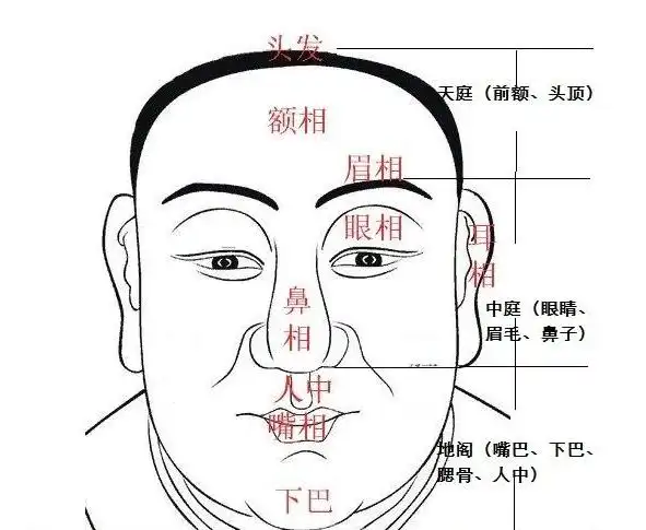 面相:额头_面相分析_桃源取名测运网