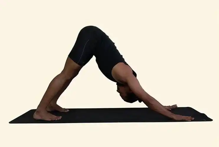 拜日式a瑜伽入门经典最适合初学者