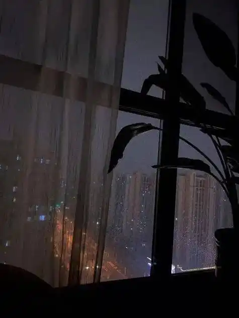 听着窗外漱漱雨声,享受这个难得的雨夜.