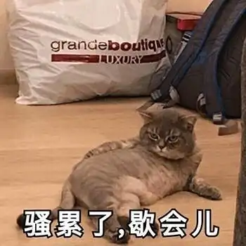生无可恋 猫咪表情包 - 生无可恋 猫咪微信表情包 - 生无可恋 猫咪qq