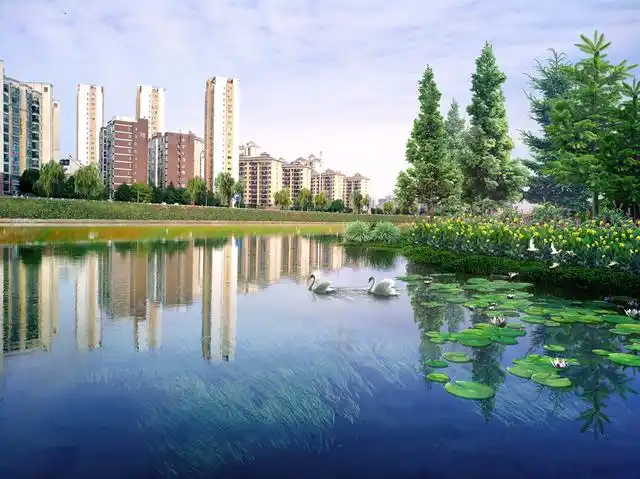 良好的水生态景观