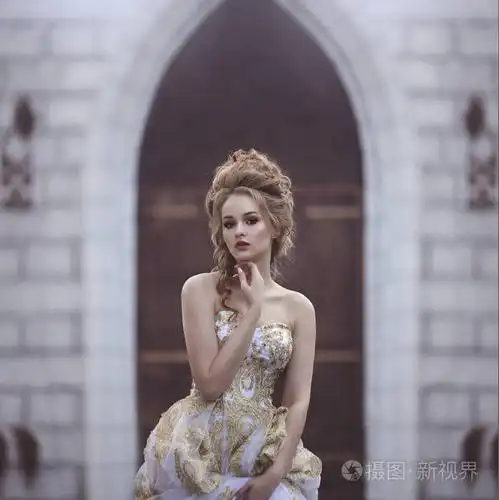 一个美丽的女人的肖像在一个古老的中世纪礼服与一个高复杂的历史发型