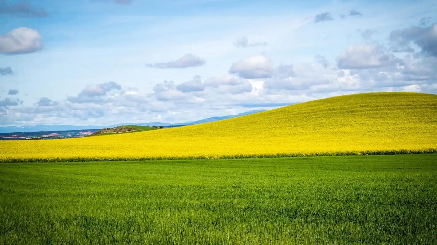 电脑壁纸 风景 阳光明媚的夏天