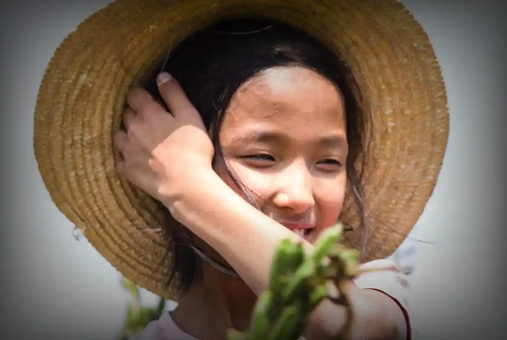 11岁柔弱女孩大山里独自收芝麻,弟弟骨折后,她艰辛撑起家_手机搜狐网