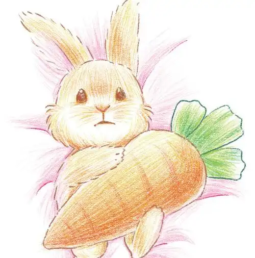 可爱又万能的彩铅小画【可爱的彩铅小动物】