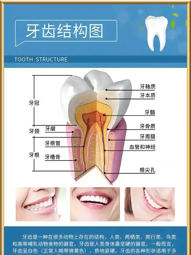 牙齿小知识科普 #种植小技巧 - 抖音