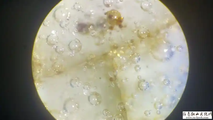 绝杀赝品——瓷器死亡气泡鉴定方法