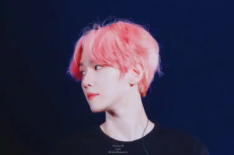 粉色啵啵虎③#边伯贤