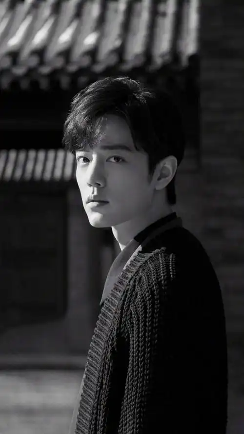 肖战帅气黑白写真高清原图查看