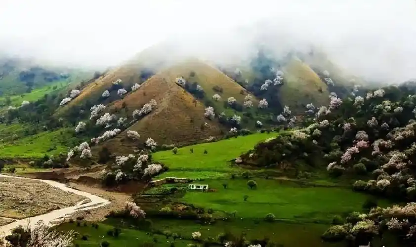 新疆霍城大西沟,美得感天动地!_伊犁_樱桃_野果