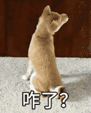 柴犬动图表情包_柴犬_doge_动图表情