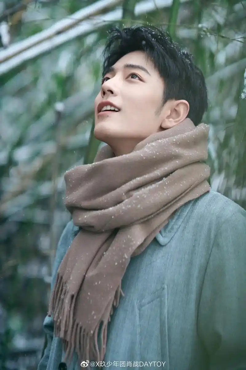 肖战冬至竹林大片 #冬至  年末冬至,让我们跟肖战一起做个 - 抖音