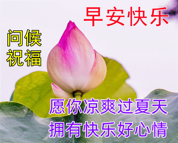 原创8张夏日天热防暑温馨早上好日常祝福语精选朋友们美好的一天属于