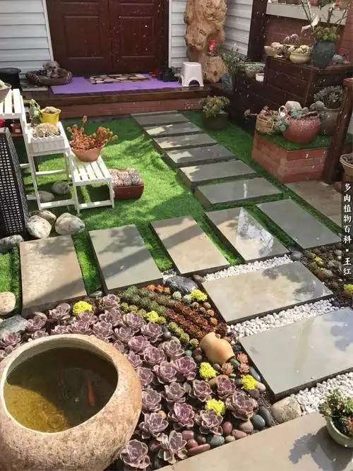 自从有了这个楼顶多肉花园它的主人一步都不想出门