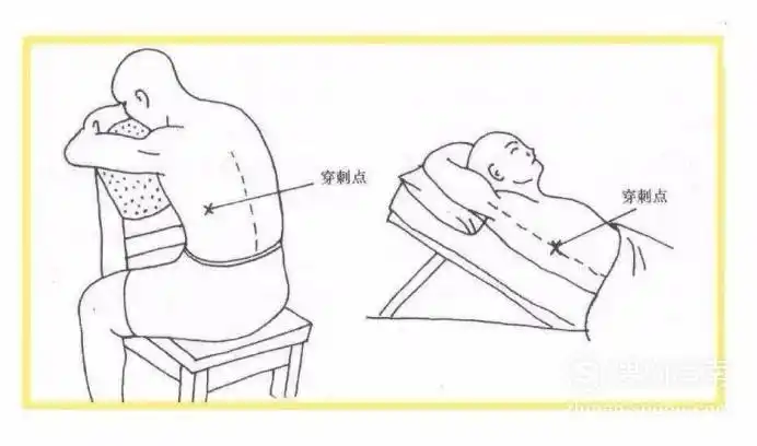 搜狗指南——生活技能宝典