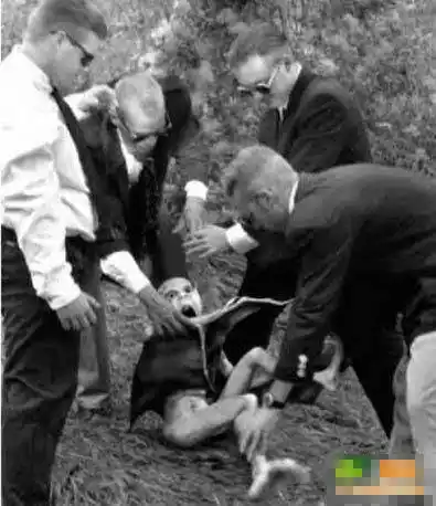 谁有外星人的照片?