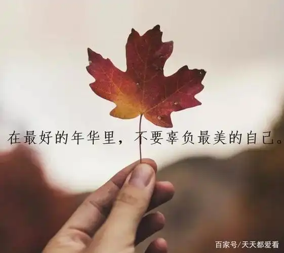 朋友圈感悟人生的经典哲理说说,总有一句适合你!