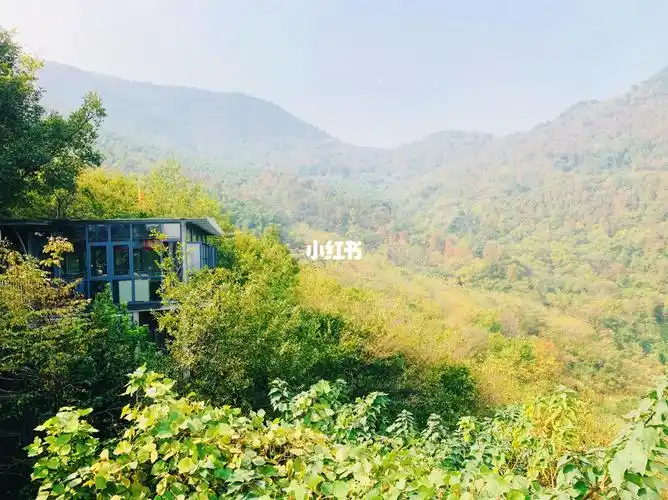 嵊州·星期八山庄