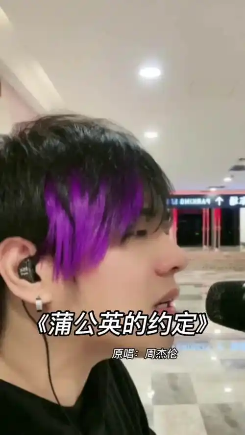致敬紫毛伦蒲公英的约定周杰伦翻唱