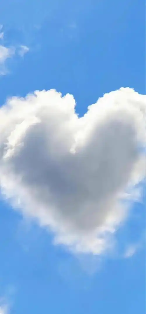 iphone手机壁纸,苹果手机壁纸尺寸(iphone手机壁纸)