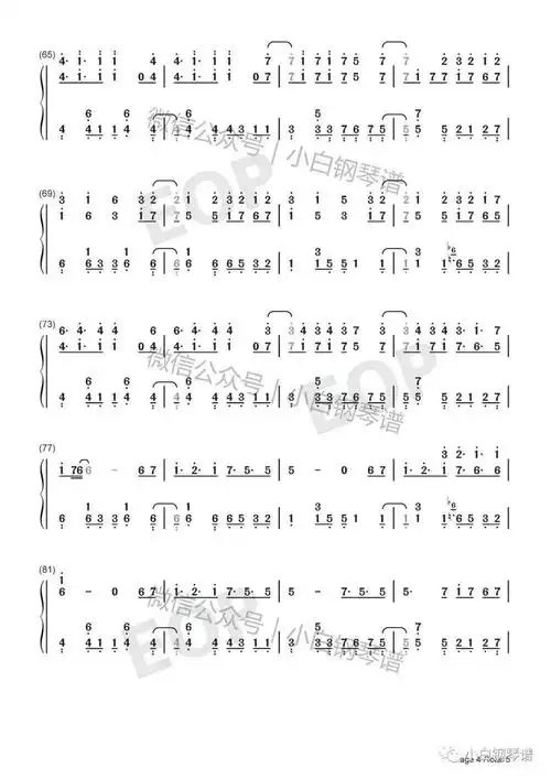 琴谱senoritashawnmendescamilacabello含简谱