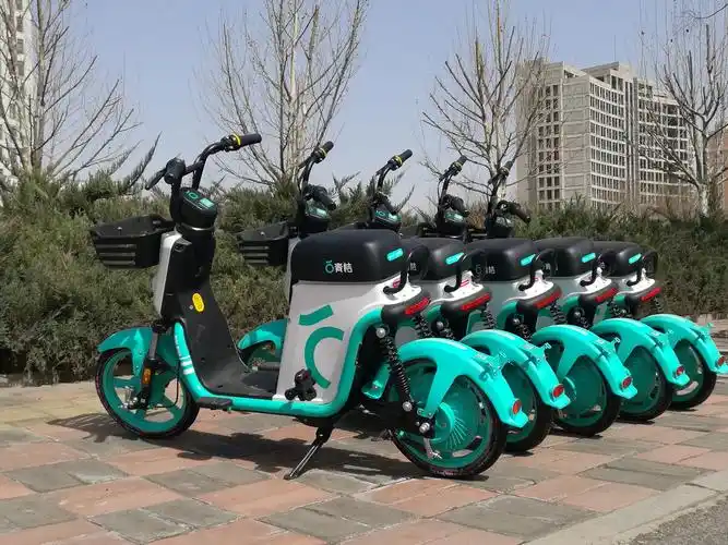河北省唐山市滦南县街头摆放整齐的青桔共享电动车