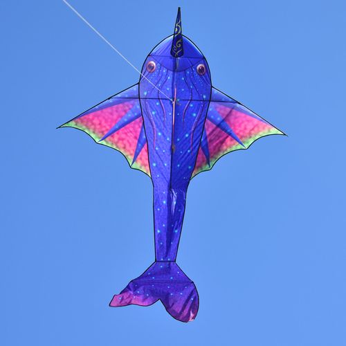 风筝逼真形象高档做工精细易飞微风大型飞鱼易飞鱼风筝