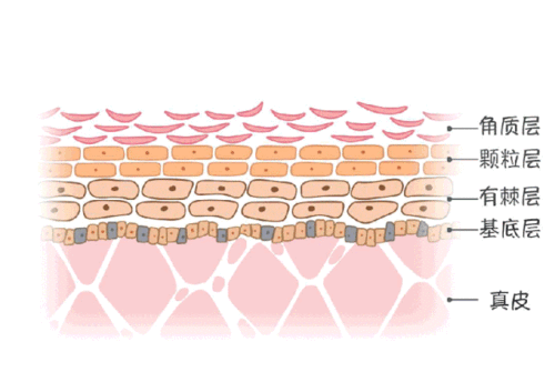 为什么一换季皮肤就变差