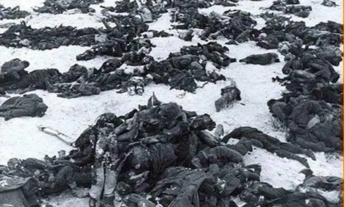 为什么打仗时,士兵宁愿被俘虏,也不愿躺下装死?