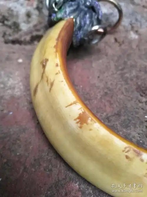 正宗野猪牙吊坠野猪獠牙手把件