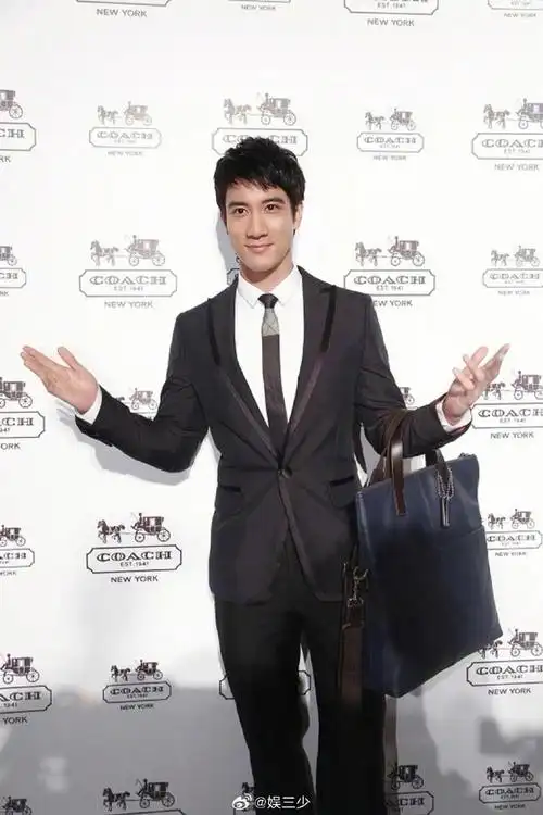 是我!期待王力宏的歌手舞台!