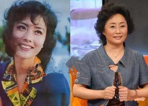 【图】杜淳的母亲杨丽家庭介绍 她是当之无愧的型妈