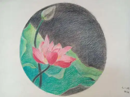 高碑店二中七年级美术课堂——花卉装饰画