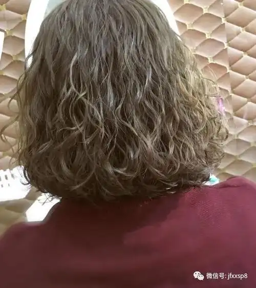 狗年流行"泰迪卷