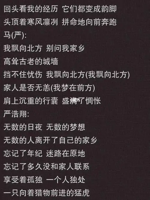 飘向北方马嘉祺严浩翔歌词完整版