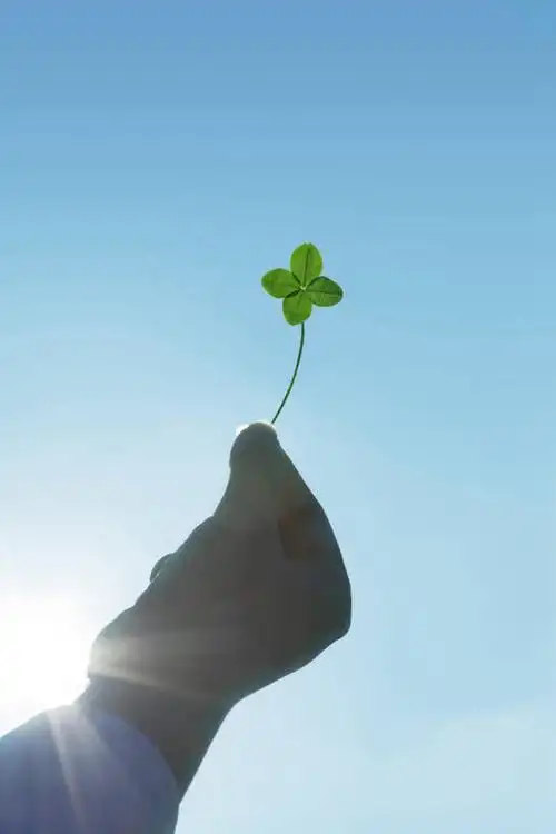 仅一个女性,仅一个人,一片,握,阴影,梦幻,发光,光束,光线,影子,四叶草