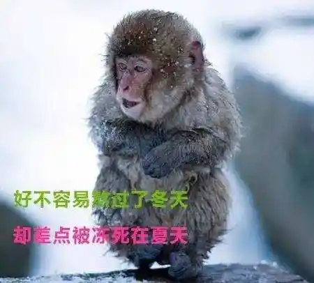 丽江我要离开你了,因为我要被冻死在你的夏天了.