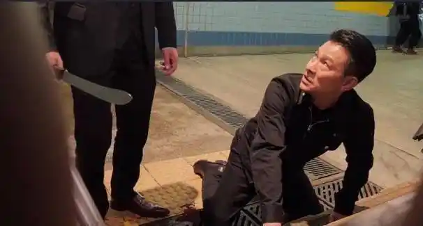 原创原创扫毒2砍古天乐手指的戏用的真刀刘德华一说原因超无奈