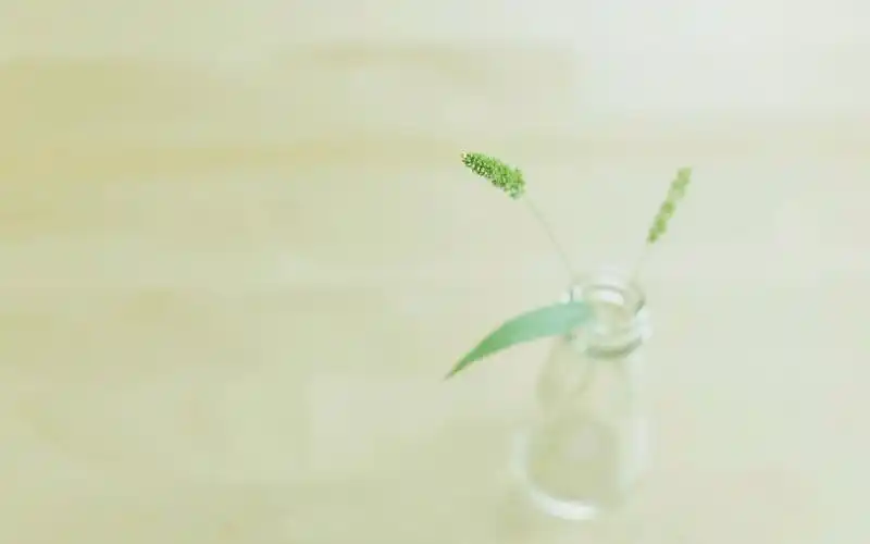 清新唯美风景高清桌面壁纸