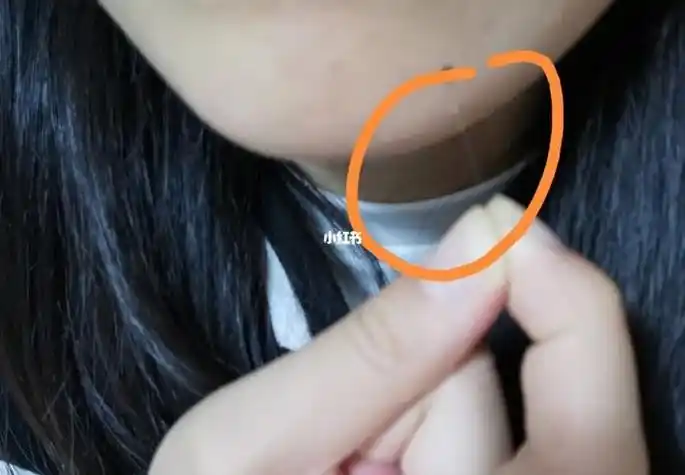 聪明聪明的外表下巴长毛也被认为是长寿和健康的迹象