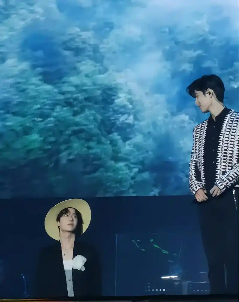 肖战王一博#bjyx 路飞装,白勺药,正衣冠,见良人. - 抖音